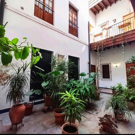 Coco Home Sevilla Urban Apartment Esterno foto