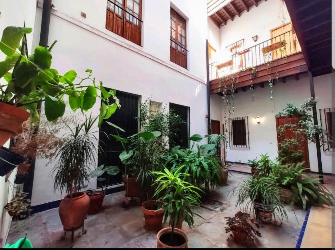 Coco Home Sevilla Urban Apartment Esterno foto